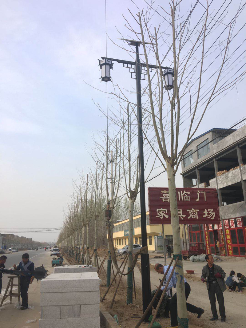 濟(jì)寧梁山太陽能景觀燈